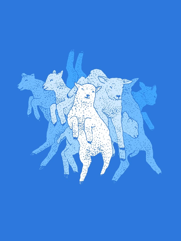 Dancing Lambs