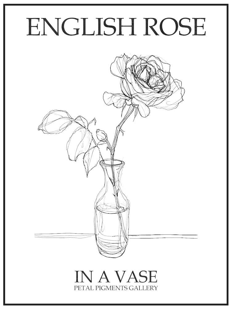 English Rose In A Vase Line Drawing 2 Poster