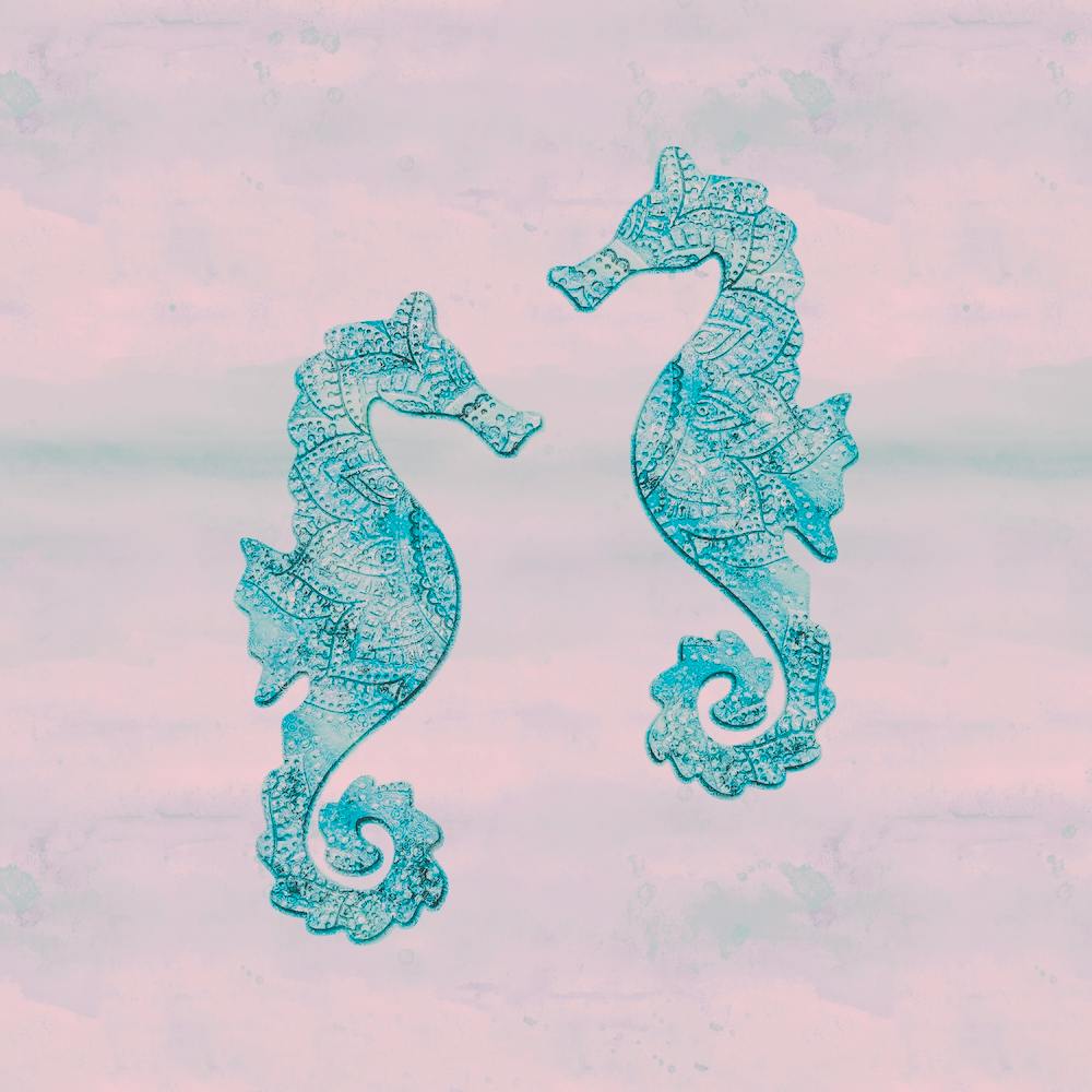 Sea Horses Square