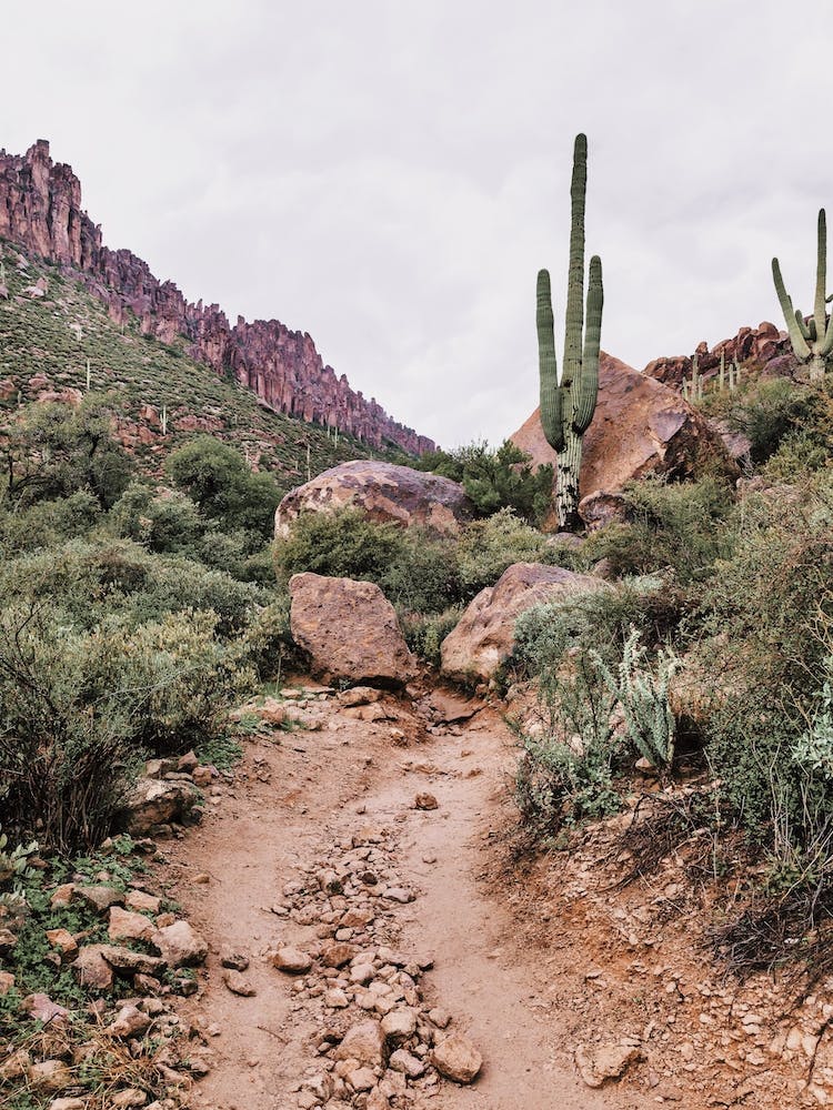 Superstition Desert Trail