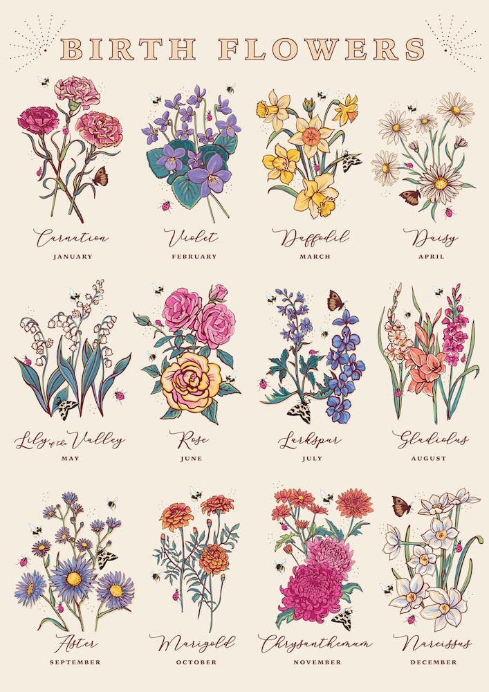 Birth Flowers On Cream