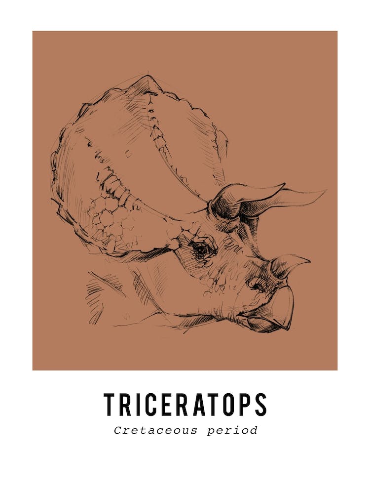 Dessin de Triceratops, Décoration de Chambre pour Garçons Dinosaure