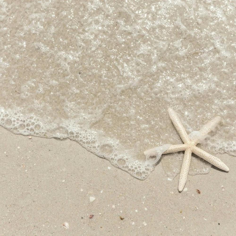 Starfish On The Beach