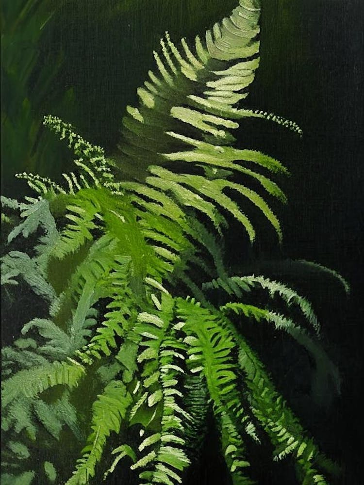 Black Stem Spleenwort Cézanne Style
