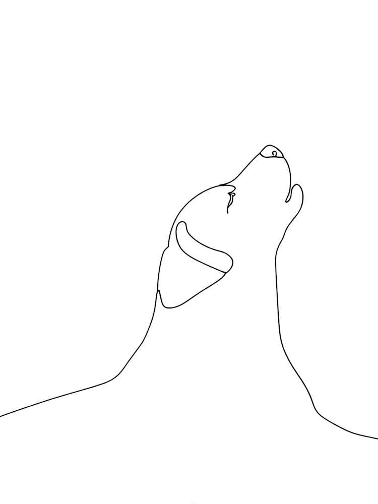 Dog'S Head