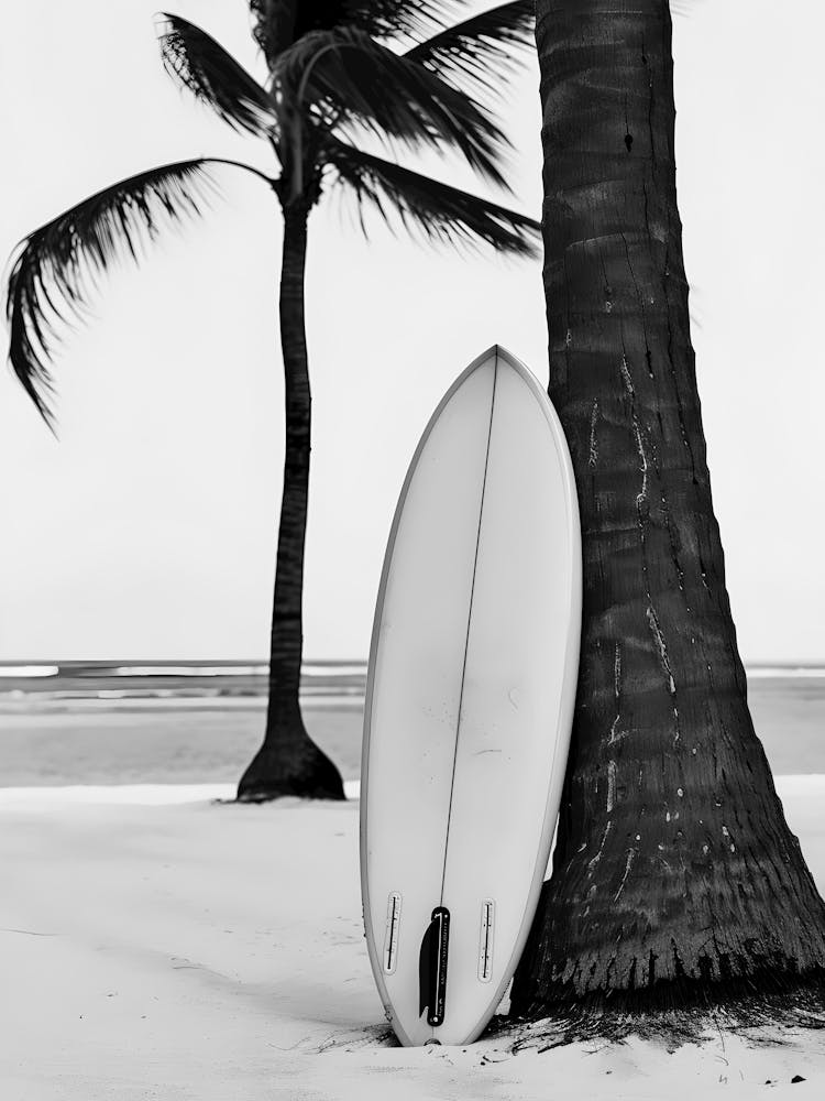 Surfboard Leaning Against Palm Tree