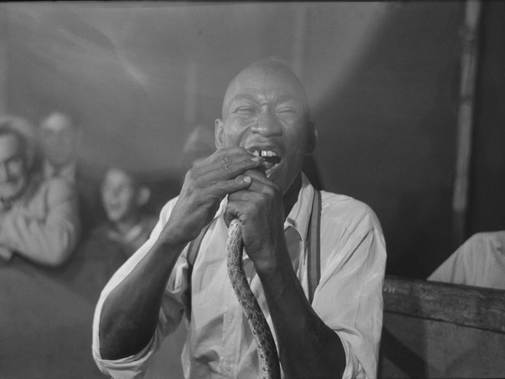Man Biting Snake At Sideshow, State Fair, Donaldsonville, Louisiana By Russell Lee