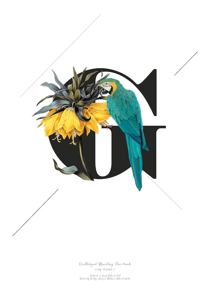 Botanical Alphabet G