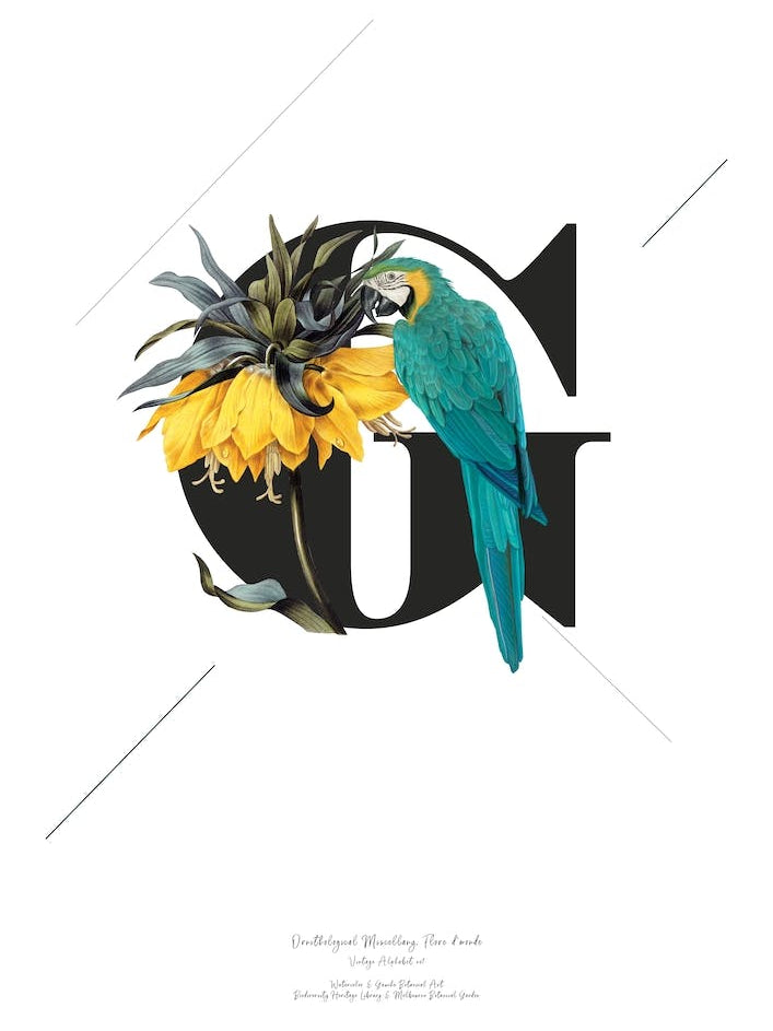 Botanical Alphabet G