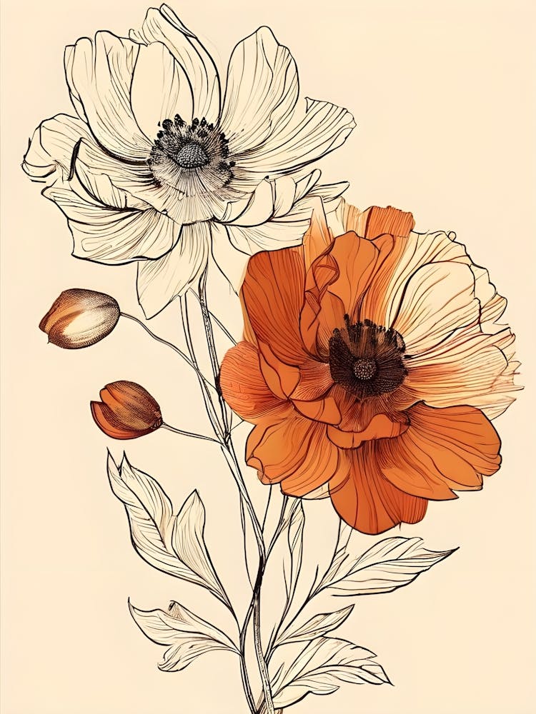 Two Poppy Flowers
