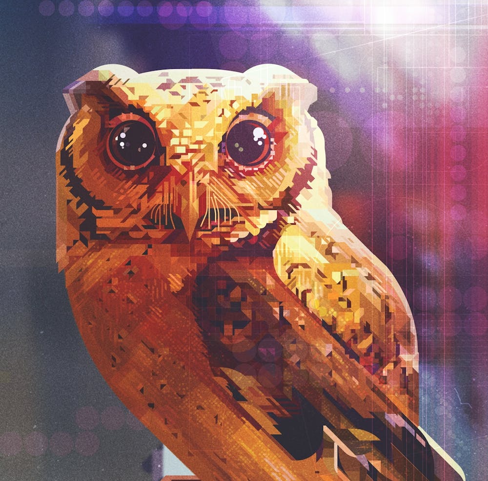 OWL IMAGE