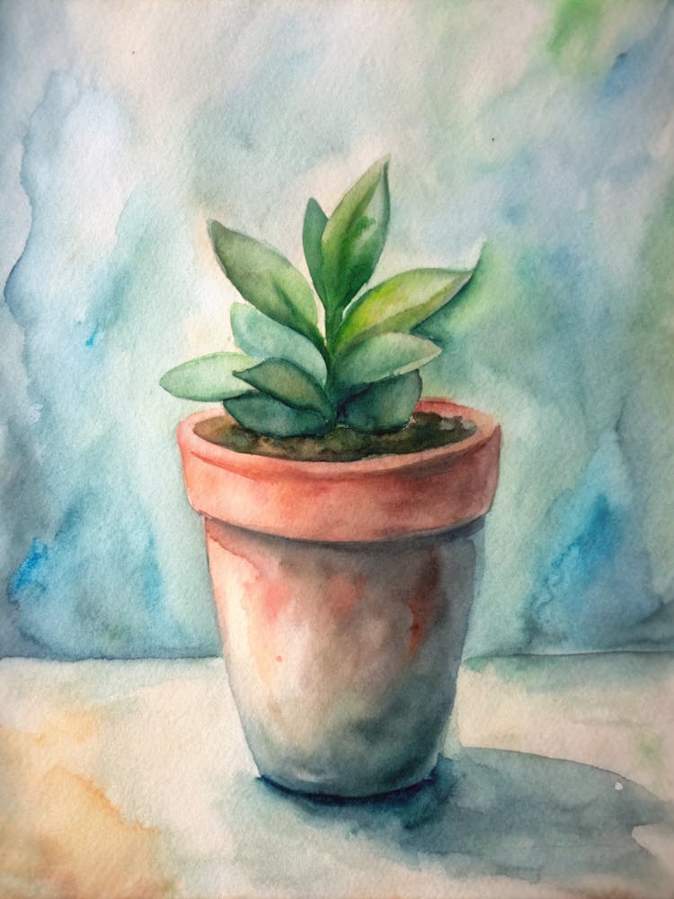 Potted Plant
