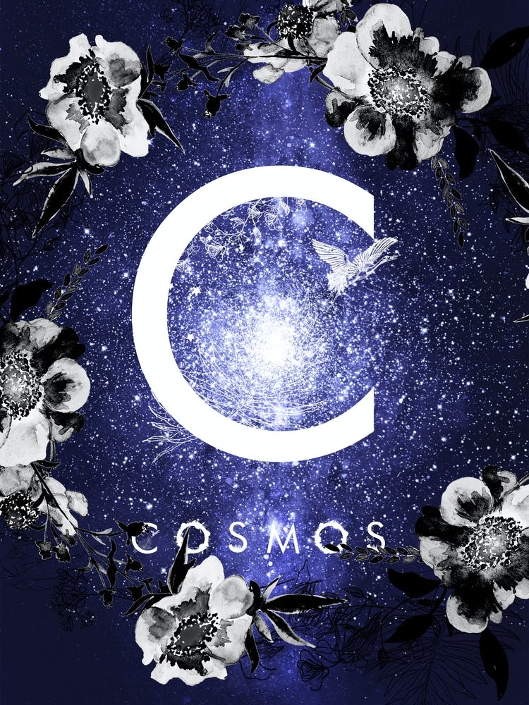 Cosmos - Starry Night and Moon #16