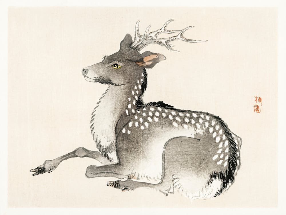 Elk By Kōno Bairei, Kōno Bairei