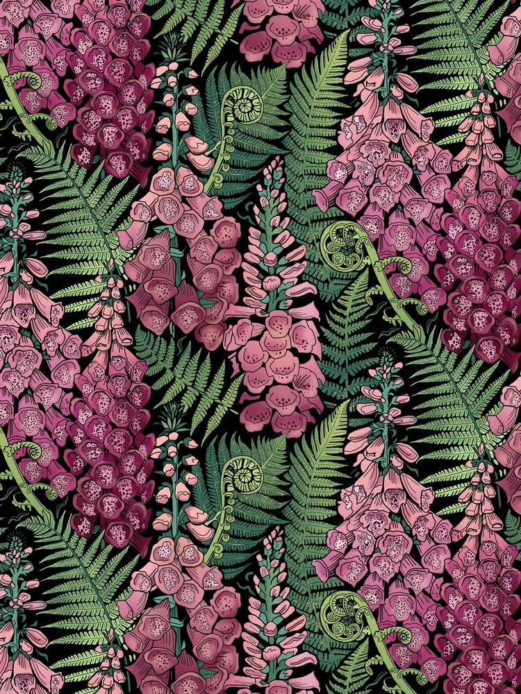 Ferns And Foxgloves