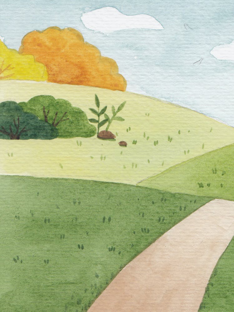 Watercolor Of A Path