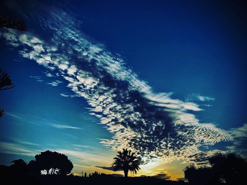 Sunset Sky
