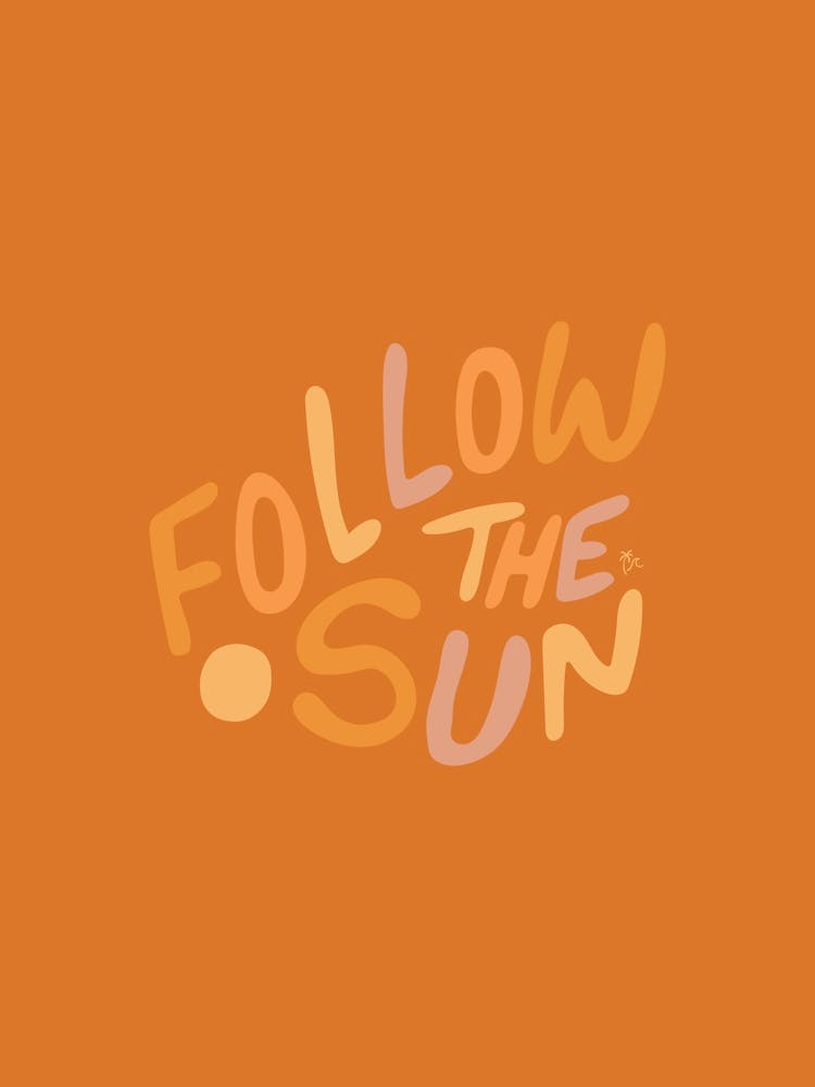 Follow The Sun Orange  - Tropicool Studio