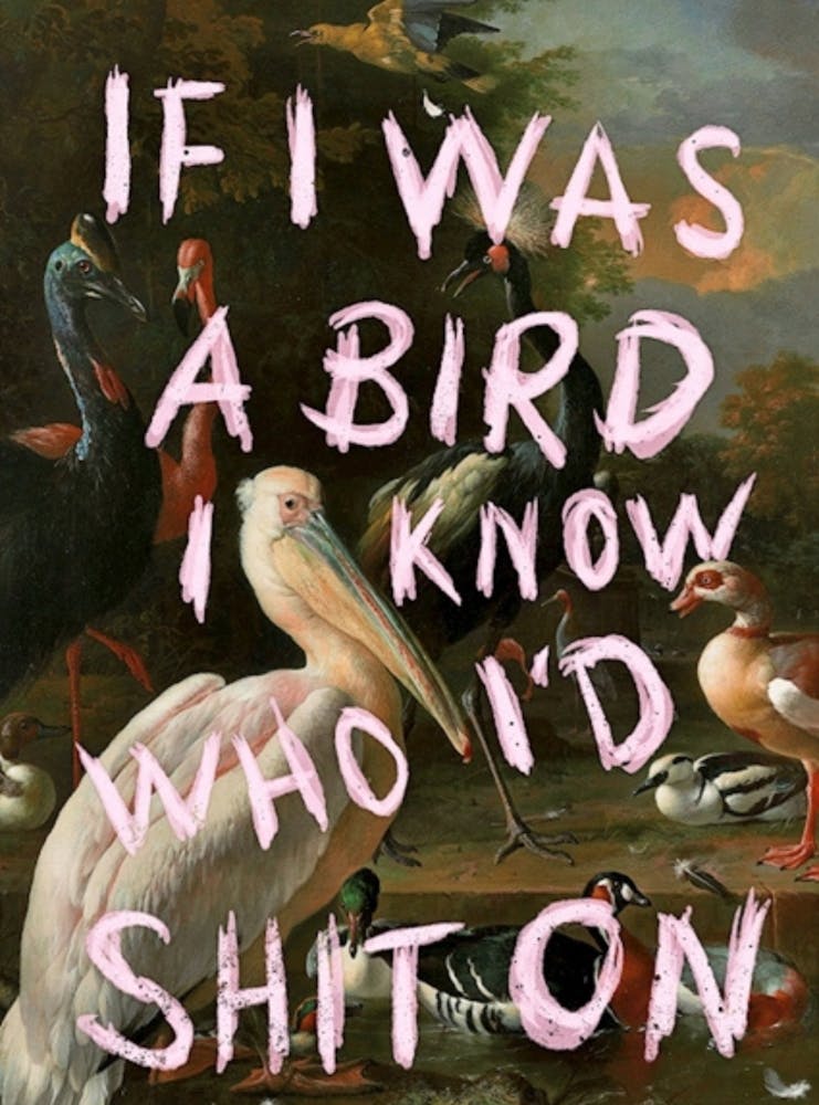 If Was A Bird I Know Who Shit