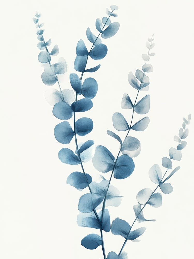 Blue Eucalyptus 4