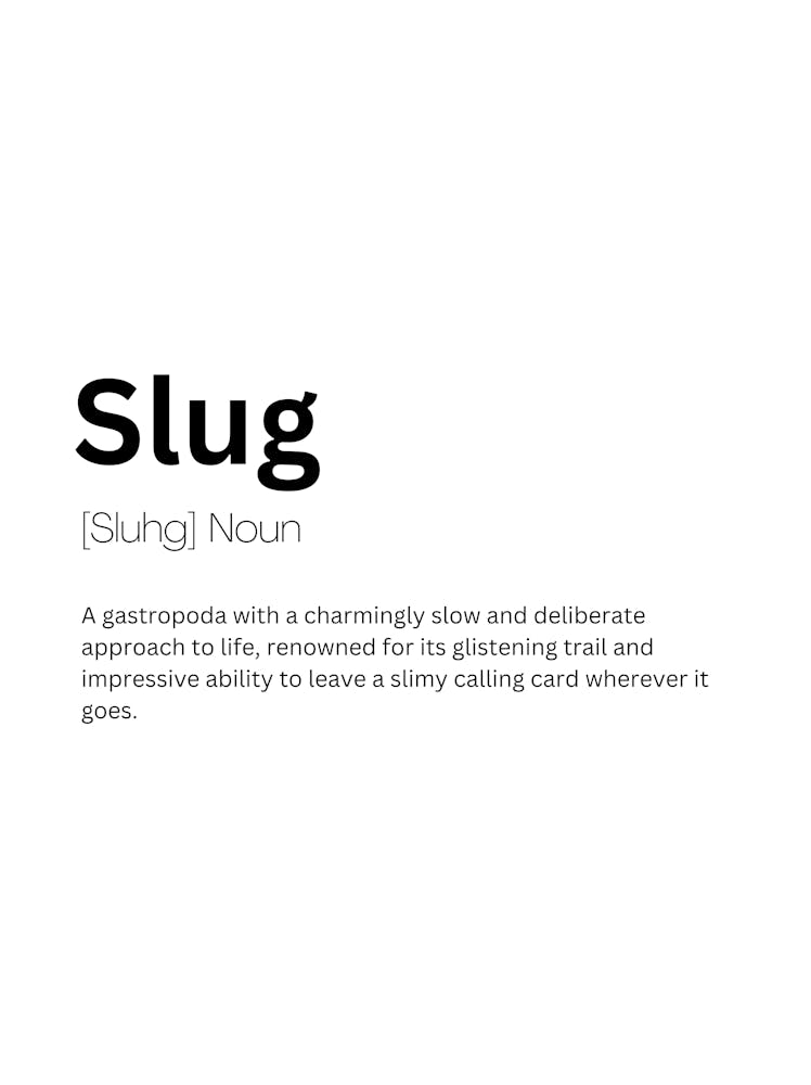 Slug Definition Bedeutung