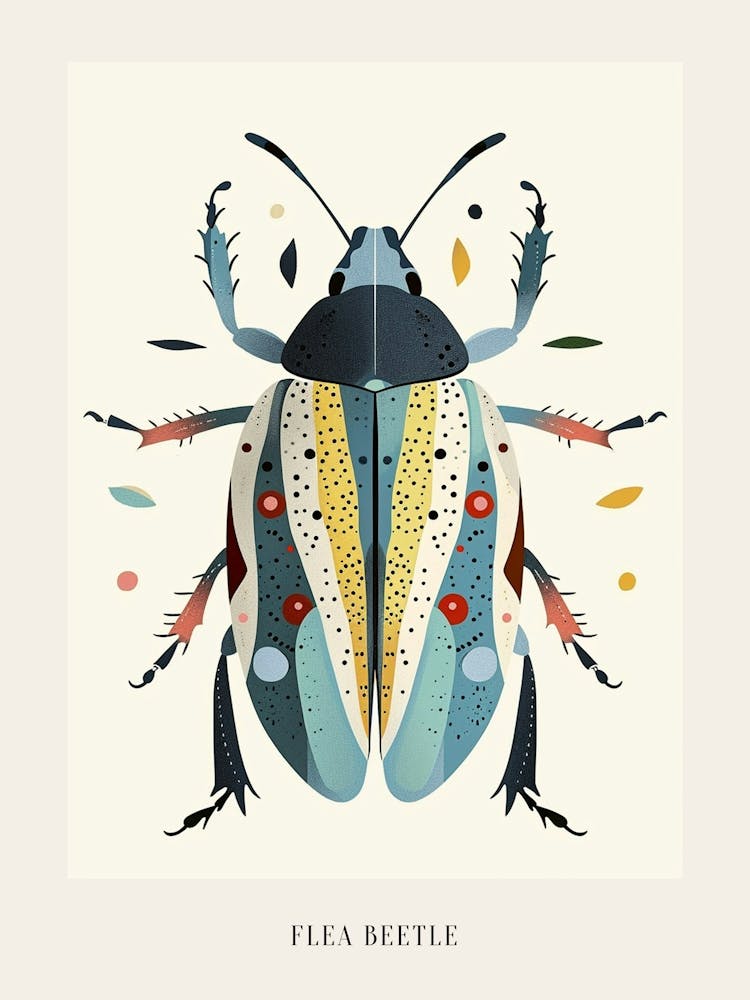 Colourful Insect Illustration Flea Beetle 15 Poster