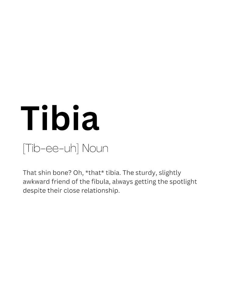Tibia Definition Meaning