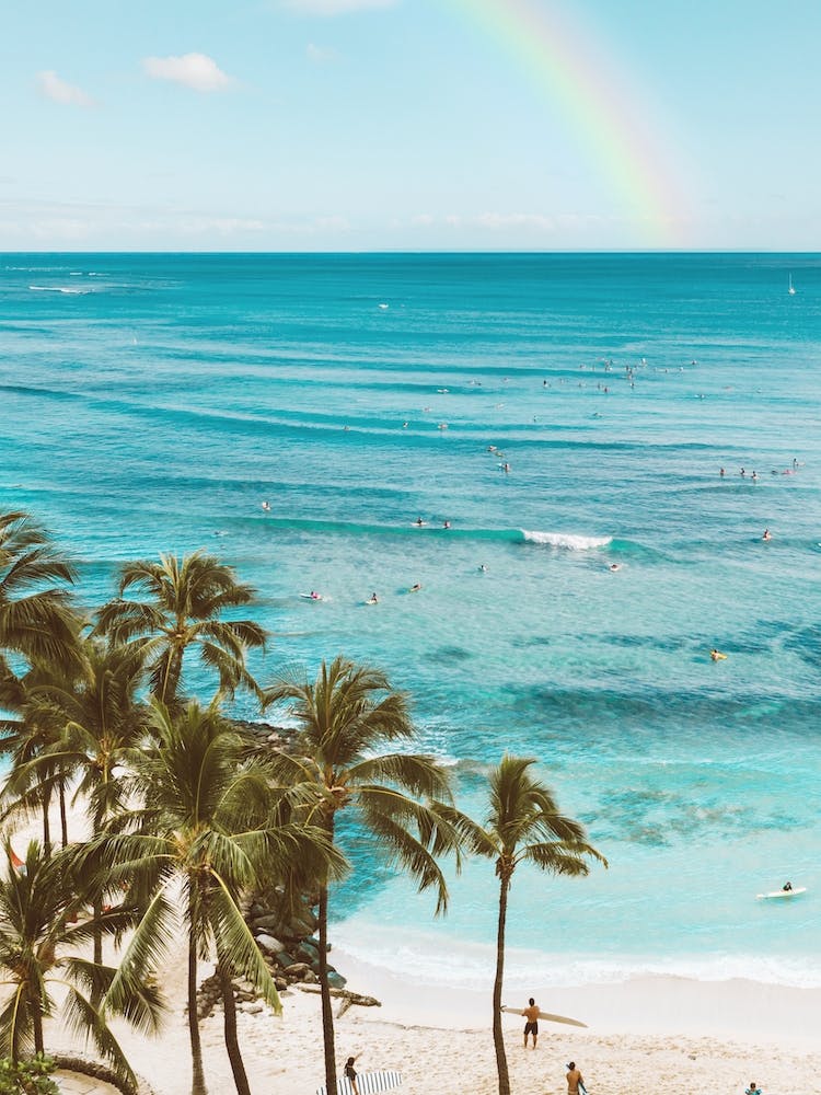 Paradise