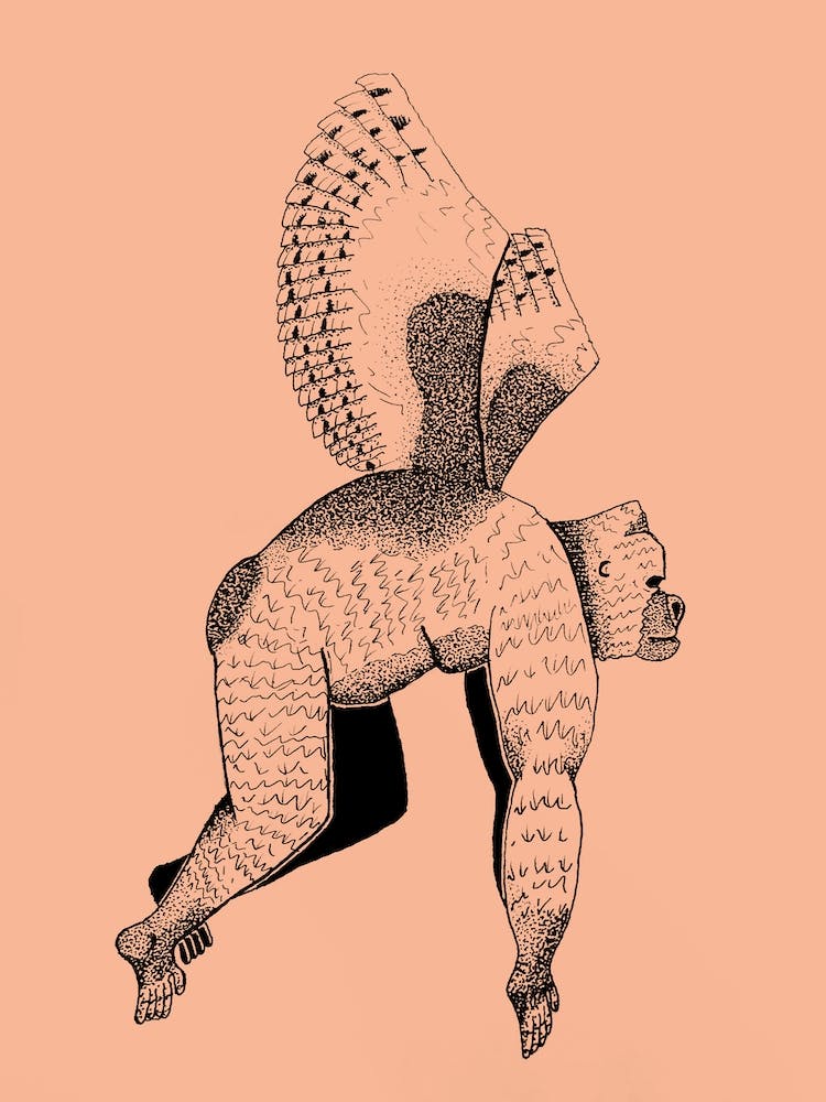 Gorilla
