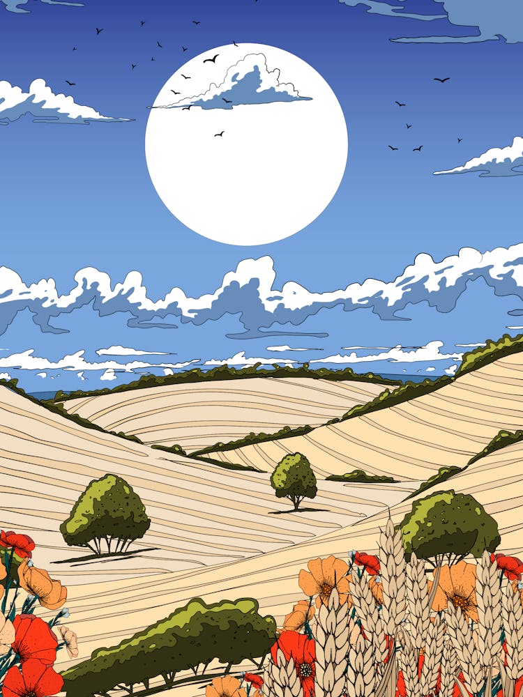 Poppies In The Field 5