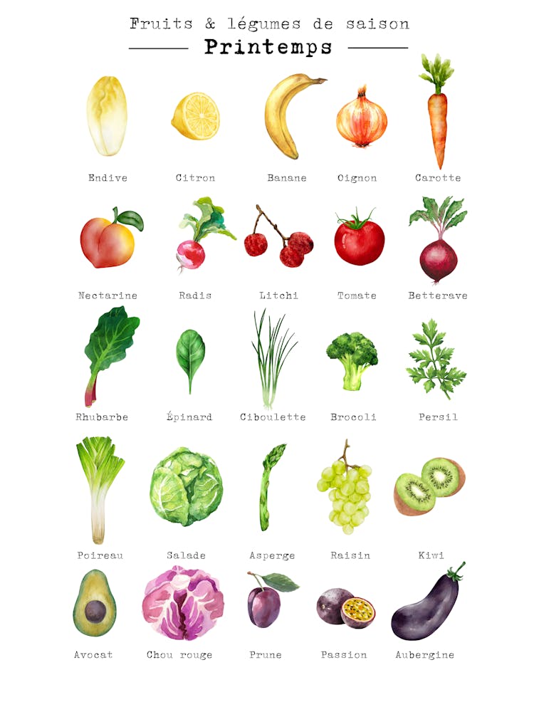 Fruits And Vegetables Poster