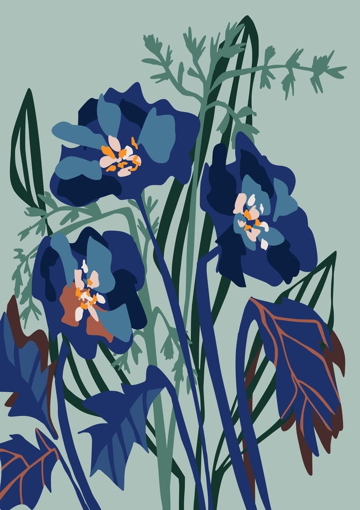Wild Flowers Light Modern Floral Illustration