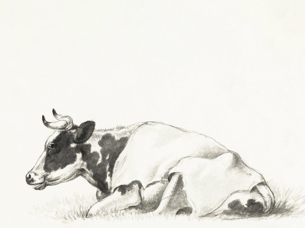 Lying Cow, Jean Bernard