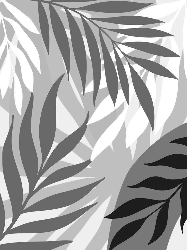 Abstract Black And White Tropical Leaves