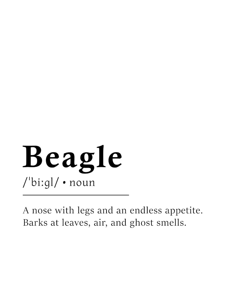 Beagle Definition Poster - Dictionary