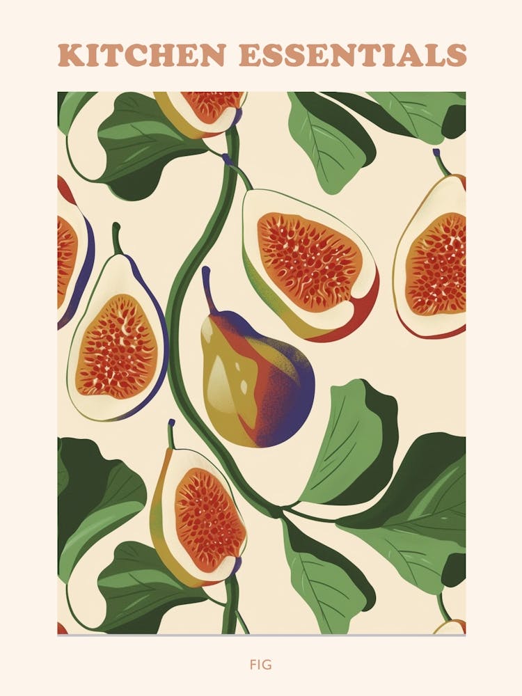Fig Pattern Illustration 1 Poster