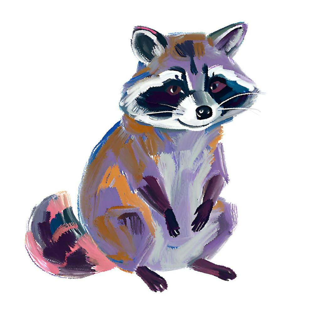 Raccoon 12