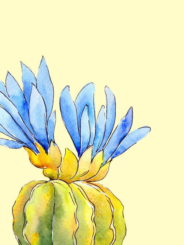 Pastel Cactus Ii