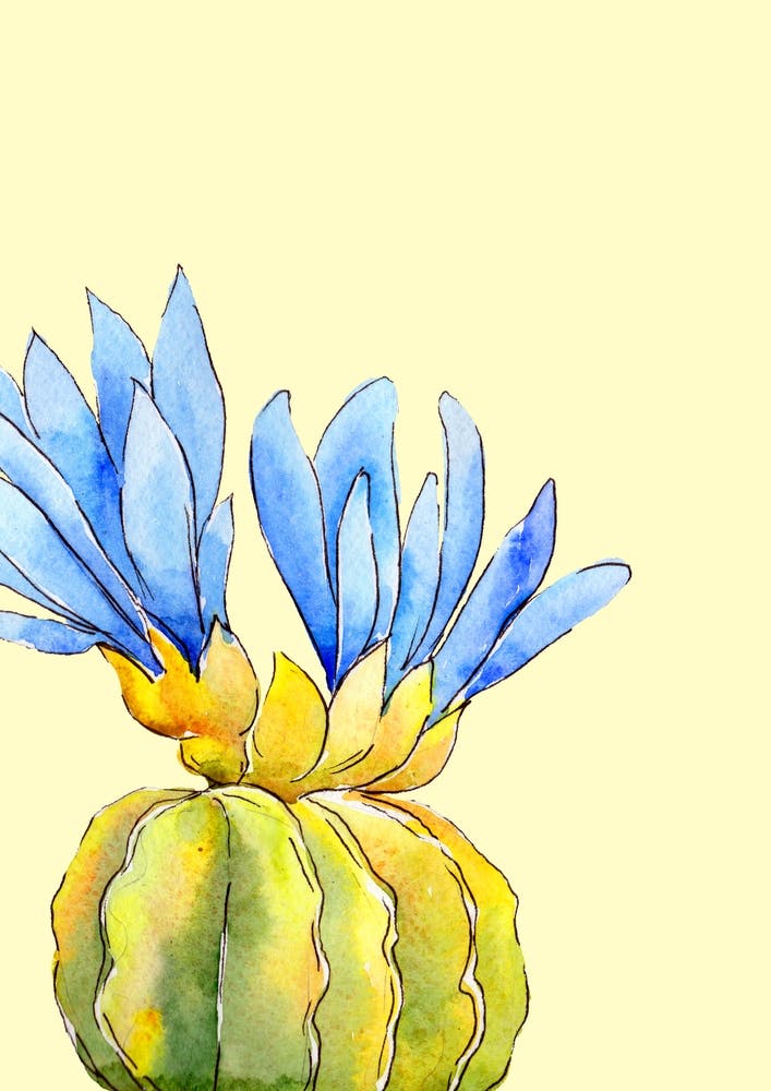Pastel Cactus Ii