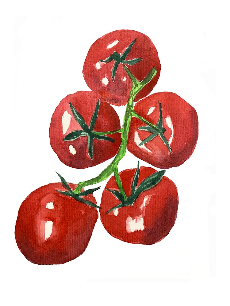 Watercolor Tomato Painting