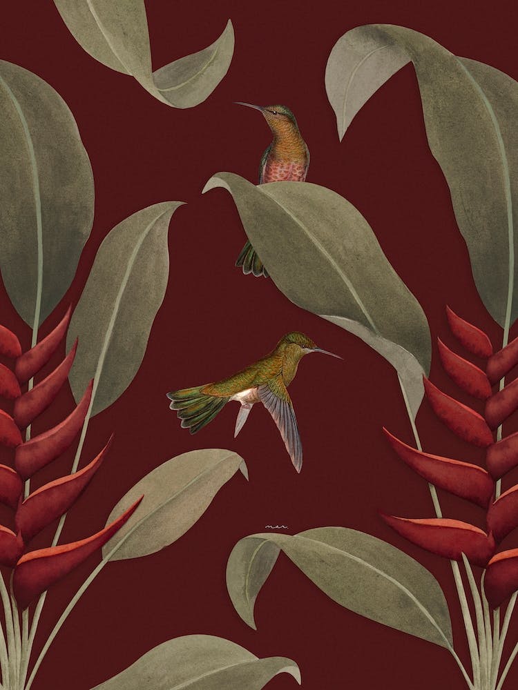 Heliconia Marsala
