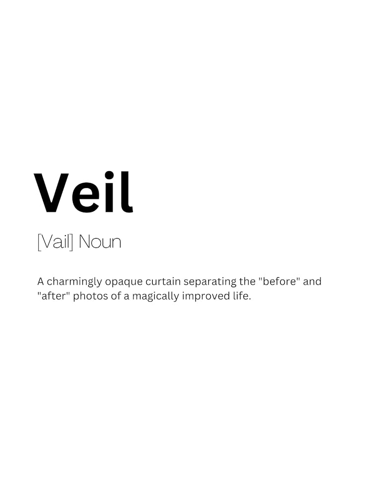 Veil Definition Meaning
