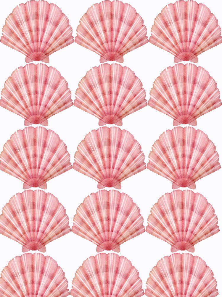 Pink Seashells