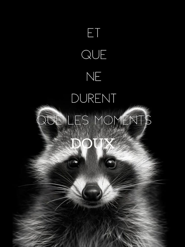 Raton laveur