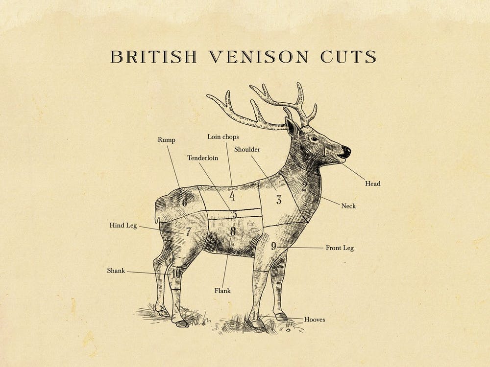 British Venison Butcher Cuts Chart