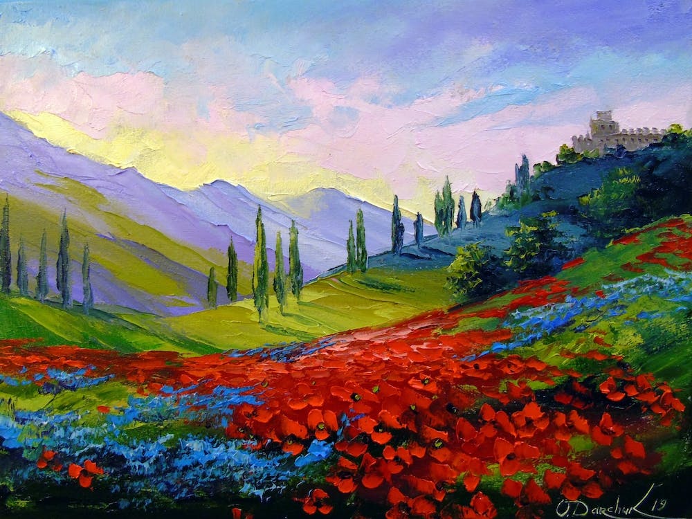 Fields of flowers by the mountains