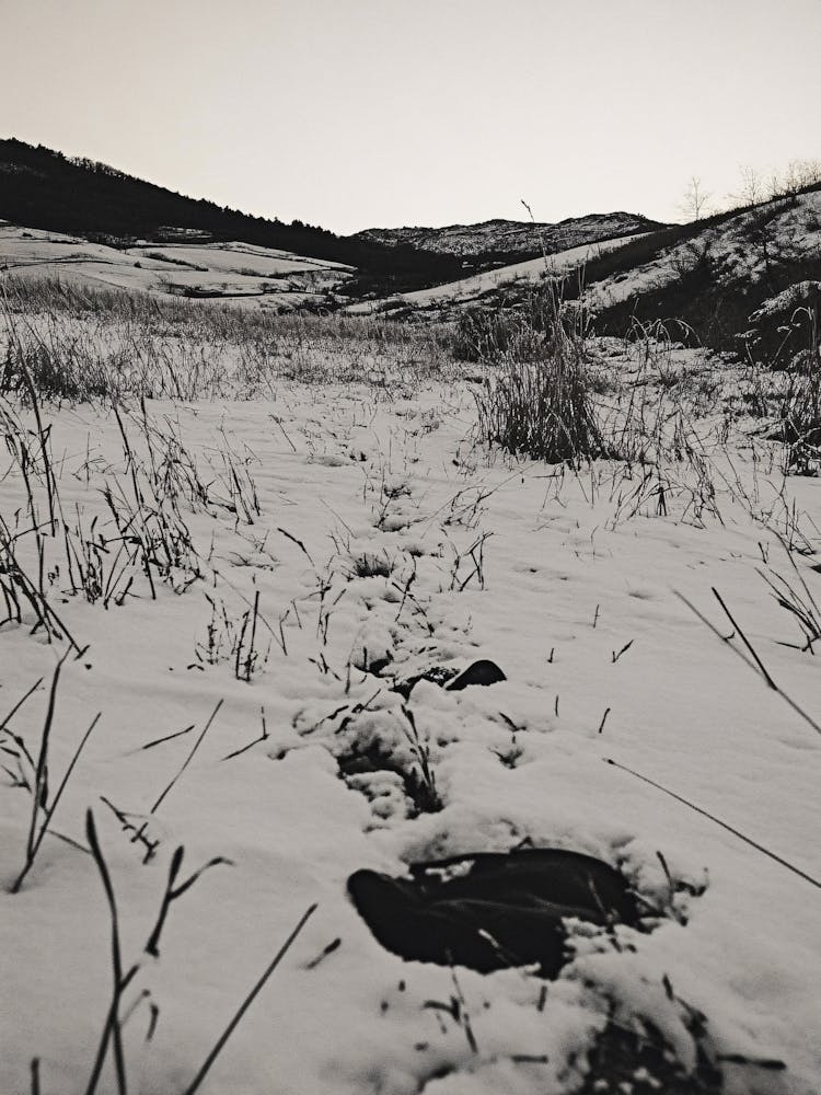 Snowy Path In The Snow