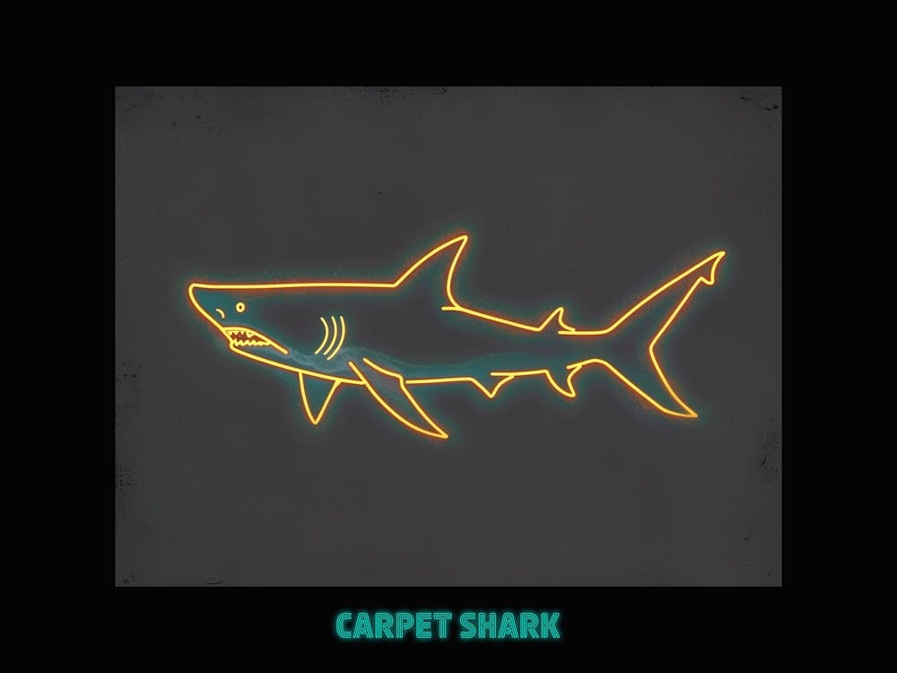 Neon Orange Carpet Shark 5 Poster