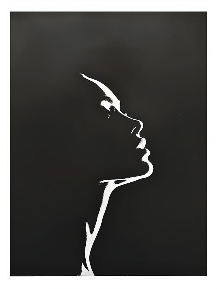Silhouette Of A Woman 1