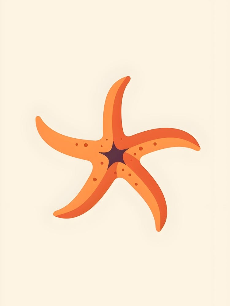 Starfish 28